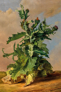 Grand Thistle Painting