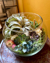 Load image into Gallery viewer, Desert Globe Terrarium Workshop
