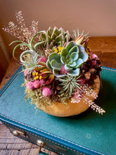 Load image into Gallery viewer, Succulent Pumpkin Workshop

