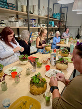 Load image into Gallery viewer, Succulent Pumpkin Workshop
