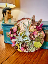Load image into Gallery viewer, Air Plants &amp; Botanicals Workshop on Pine Round
