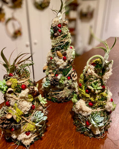 Holiday Rustic Tree Workshop