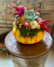 Load image into Gallery viewer, Succulent Pumpkin Workshop
