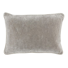 Load image into Gallery viewer, Heirloom Velvet Pillow | Silver
