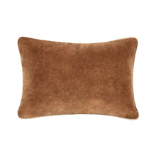 Load image into Gallery viewer, Heirloom Velvet Pillow | Hazel
