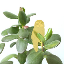 Load image into Gallery viewer, Plant Accent | Owl
