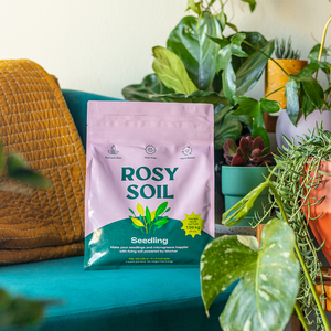 Organic Seedling and Propagation Mix