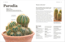 Load image into Gallery viewer, Cacti Succulents
