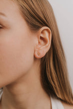 Load image into Gallery viewer, Complements Earrings | Star &amp; Constellation

