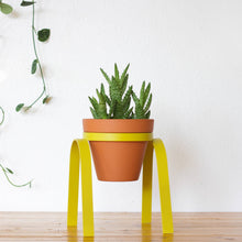 Load image into Gallery viewer, The Perch Planter
