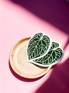 Anthurium Crystallinum Plant Leaf Sticker