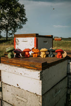 Load image into Gallery viewer, Mushroom Beeswax Candle
