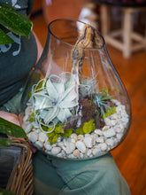 Load image into Gallery viewer, Airplant Terrarium Workshop

