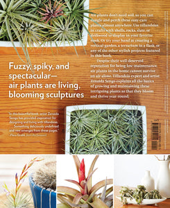 Air Plants: The Curious World of Tillandsias