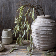 Load image into Gallery viewer, Trailing Catkin
