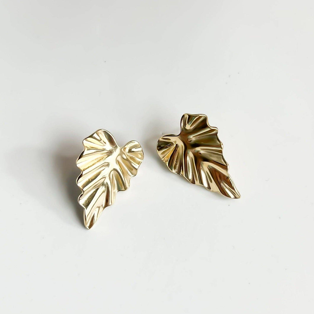 Alocasia Studs