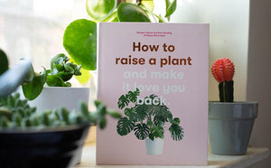 How to Raise a Plant