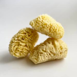 Large Natural Bath Sea Sponge