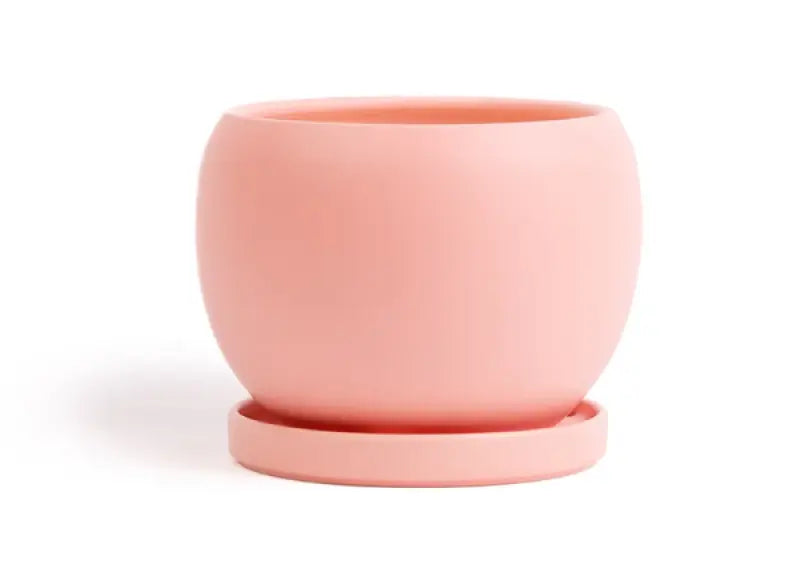 Gemstone Bolle Planter l Bubblegum