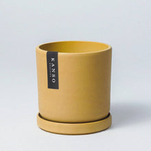 Load image into Gallery viewer, Dusted Planter | Mustard Seed
