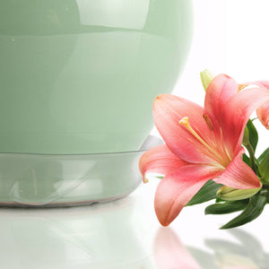 Liteline Plastic Saucer