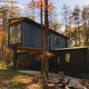 Cabin Tripping