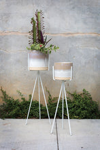 Load image into Gallery viewer, Cala Plant Stand
