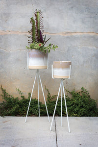 Cala Plant Stand