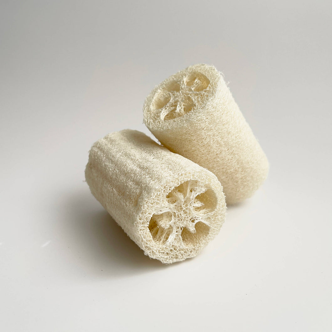 Natural Loofah Sponge