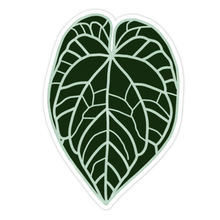 Load image into Gallery viewer, Anthurium Crystallinum Plant Leaf Sticker
