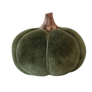 Velvet Pumpkin