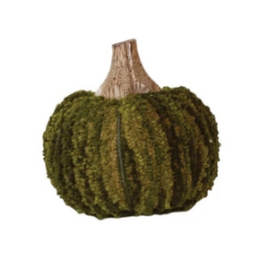 Velvet Pumpkin