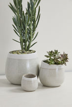 Load image into Gallery viewer, Choice Pot
