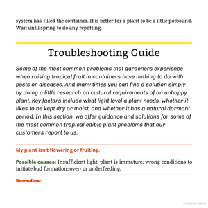Edible Houseplants