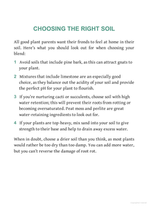 The Little Book for Plant Parents
