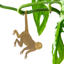 Load image into Gallery viewer, Plant Accent | Spider Monkey
