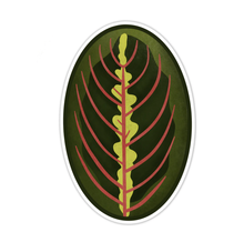 Load image into Gallery viewer, Red Prayer Plant Leaf Sticker
