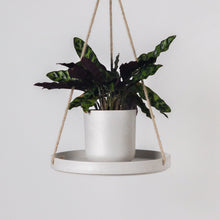 Load image into Gallery viewer, Hanging Tray | Stone
