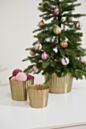 Load image into Gallery viewer, Delicata Pot
