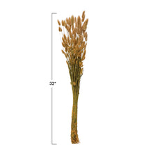 Load image into Gallery viewer, Dried Natural Bunny Tail Bunch
