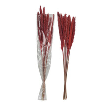 Load image into Gallery viewer, Natural Pampas Grass | Fuschia
