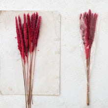 Load image into Gallery viewer, Natural Pampas Grass | Fuschia

