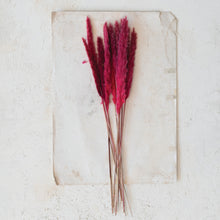 Load image into Gallery viewer, Natural Pampas Grass | Fuschia
