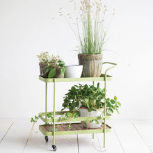 Load image into Gallery viewer, Metal &amp; Acacia Wood Bar Cart | Sage
