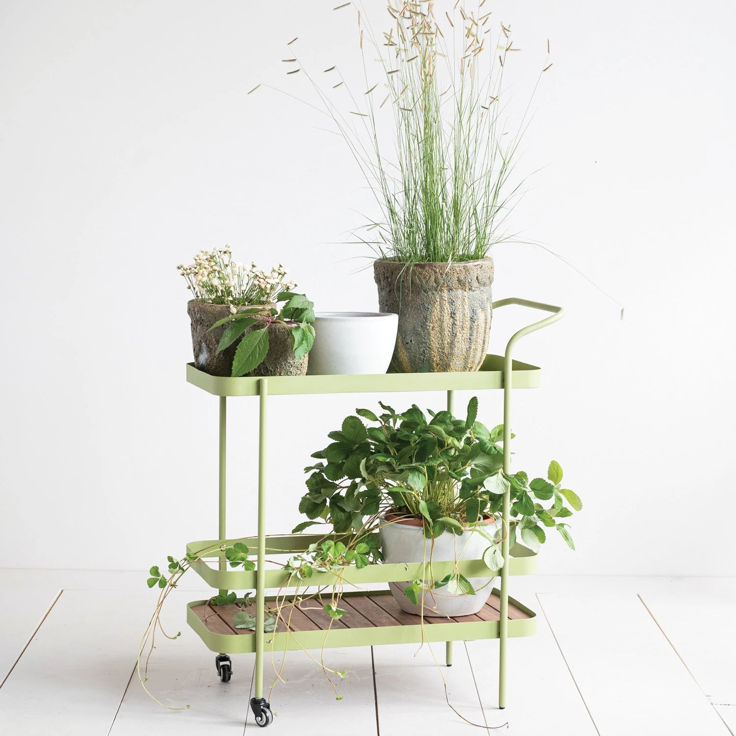 plant cart indoor Metal & Acacia Wood Bar Cart