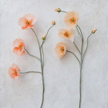 Load image into Gallery viewer, Faux Poppy Stem
