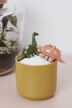 Load image into Gallery viewer, Dinosaur Friends Plant Sticks
