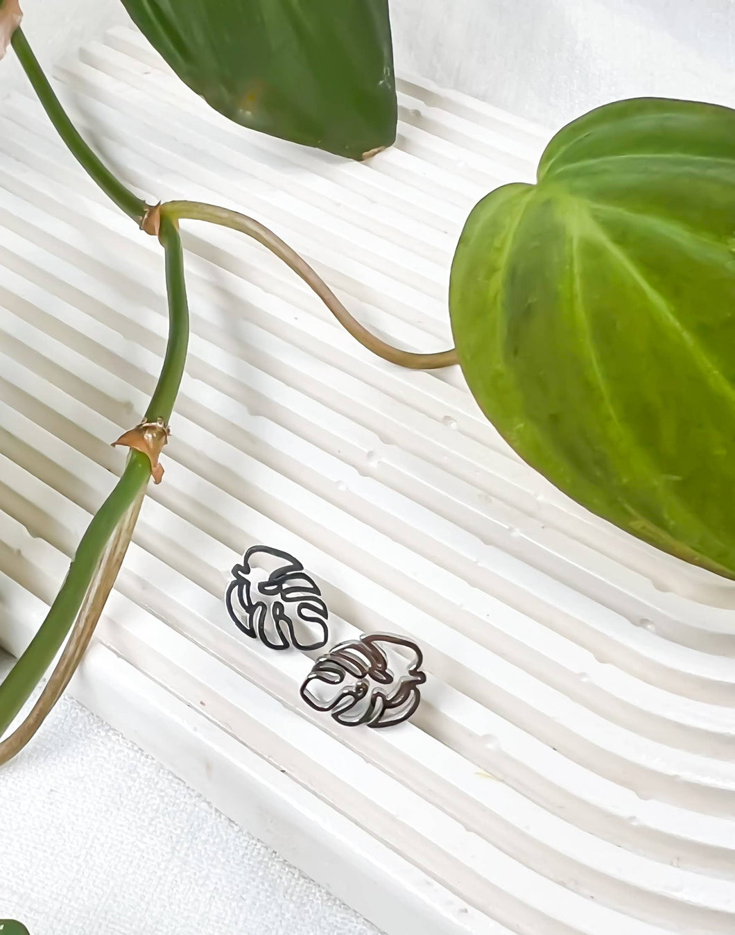 Hollow Monstera Studs