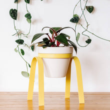 Load image into Gallery viewer, The Perch Planter
