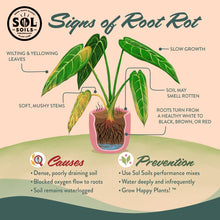 Load image into Gallery viewer, Bonsai Soil Mix
